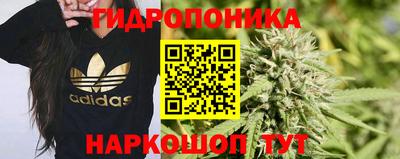 соль ск Краснодар
