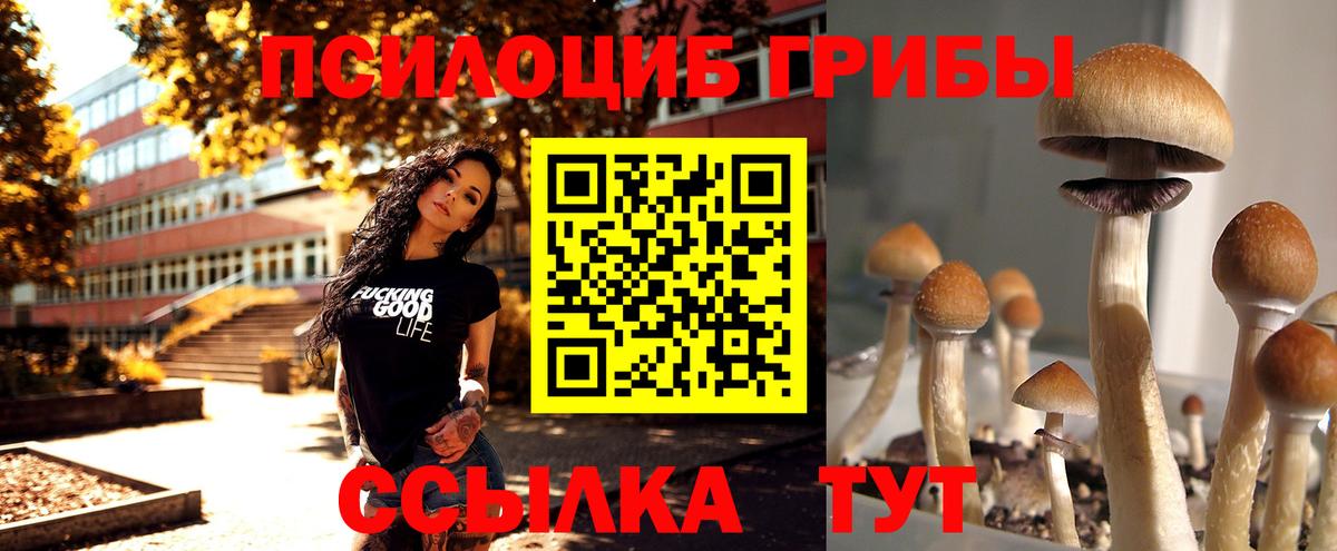 Коммунар  Галлюциногенные грибы прущие грибы  Вход с VPN  Псилоцибиновые грибы Magic Shrooms 